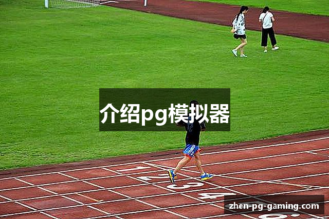 介绍pg模拟器